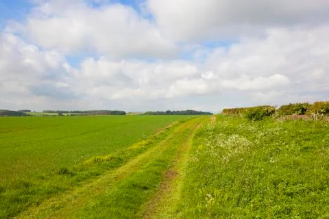 Minster way in springtime Stock Photos