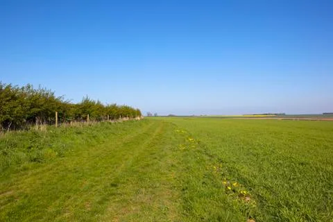 Minster way in Springtime Stock Photos