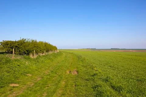 Minster Way in Springtime Stock Photos
