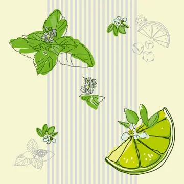Mint and mojito Illustrazione stock