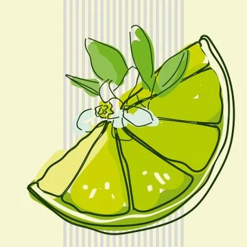 Mint and mojito Stock Illustration