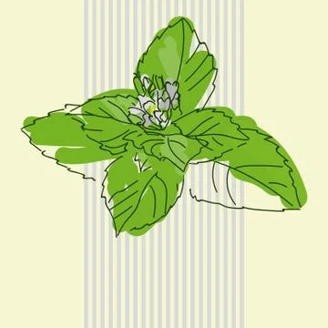 Mint and mojito Stock Illustration