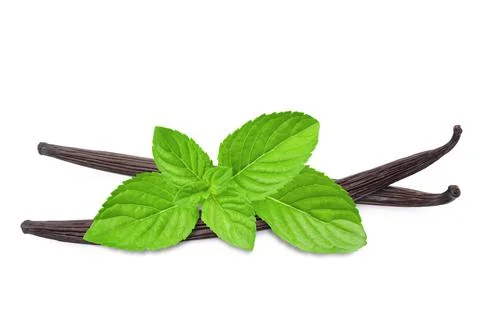 Mint and vanilla Stock Photos