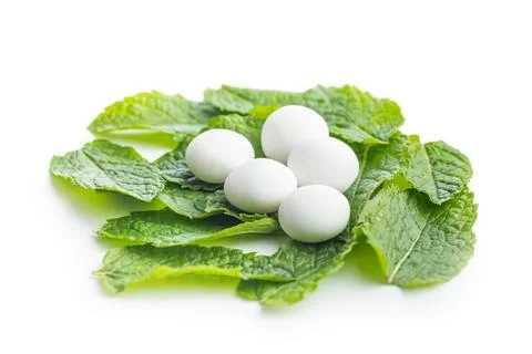 Mint candies. Menthol bonbons and mint leaves isolated on white background. Stock Photos