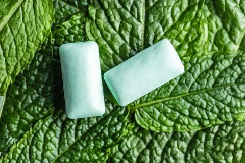 Mint chewing gum pads. Stock Photos