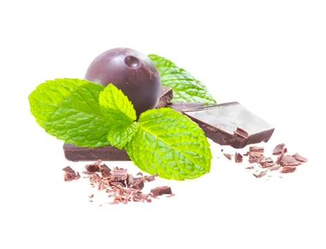 Mint chocolate. Stock Photos