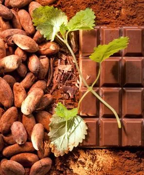 Mint chocolate Stock Photos