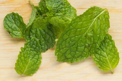 Mint for cook Stock Photos