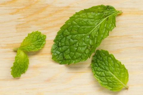 Mint for cook Stock Photos