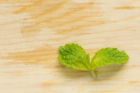 Mint for cook Stock Photos