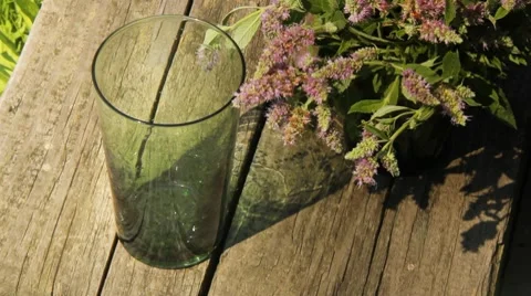 Mint drink Stock Footage 8553721