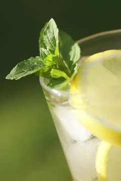 Mint in drink Stock Photos