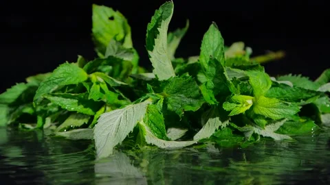 Mint drops into water on a black background Stock Footage 138791941