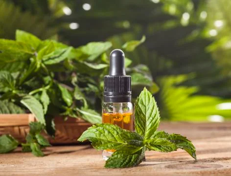 Mint Essential Oil Stock Photos