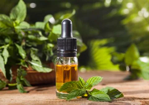 Mint Essential Oil Stock Photos
