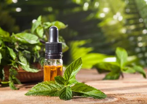 Mint Essential Oil Stock Photos