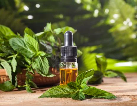 Mint Essential Oil Stock Photos