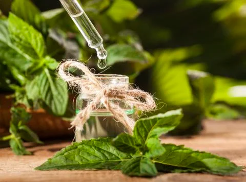 Mint Essential Oil Stock Photos