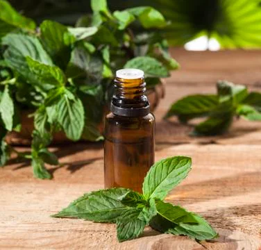 Mint Essential Oil Stock Photos