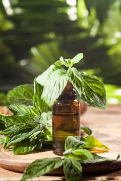 Mint Essential Oil Stock Photos