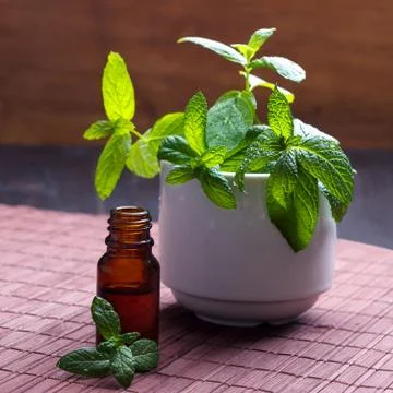 Mint essential oil Stock Photos