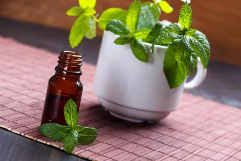 Mint essential oil Stock Photos