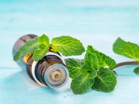 Mint essential oil 스톡 사진
