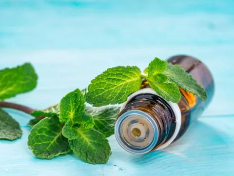 Mint essential oil 스톡 사진
