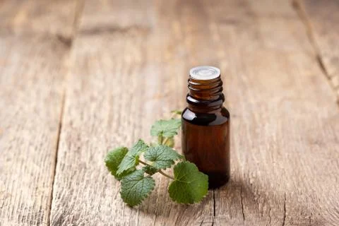 Mint essential oil Stock Photos