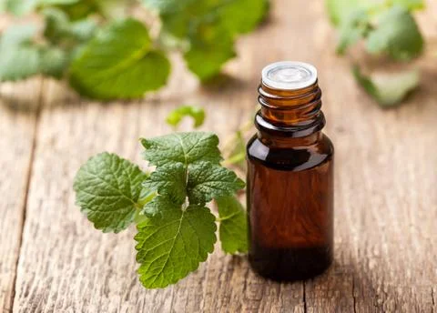 Mint essential oil Stock Photos