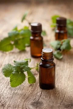 Mint essential oil Foto stock