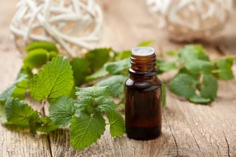 Mint essential oil Stock Photos