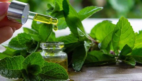 The mint extract in a small jar. Stock Photos