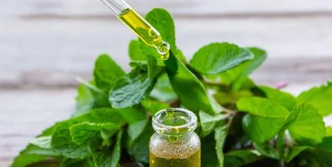 The mint extract in a small jar. Stock Photos