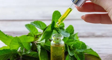 The mint extract in a small jar. Stock Photos