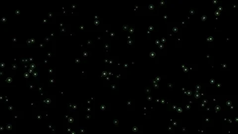 Mint firefly swarm glowing on black background overlay 4K Vídeos de archivo 336513467