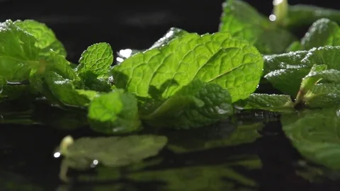 Mint floats in water over black background. Close-up Stock Footage 72249256