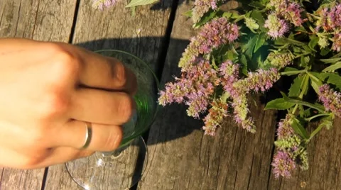 Mint Stock Footage 8540956