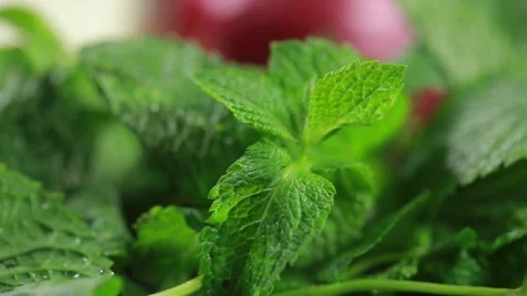 Mint Stock Footage 139872247