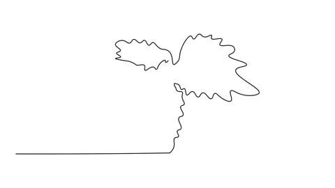 Mint Stock Footage 248944698