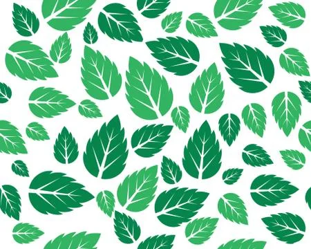 Mint fresh leaves Vector template Stock Illustration