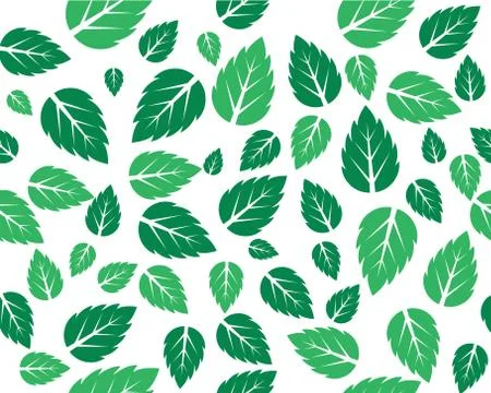 Mint fresh leaves Vector template Illustrazione stock