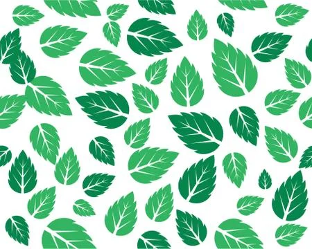 Mint fresh leaves Vector template Stock Illustration