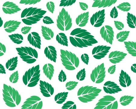 Mint fresh leaves Vector template Stock Illustration