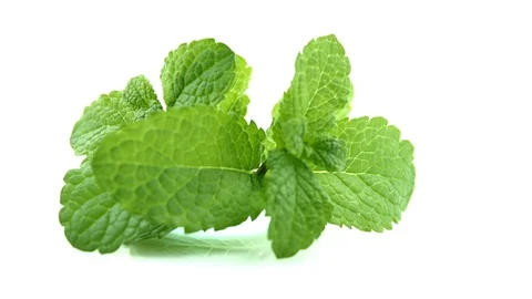 Mint. Fresh mint leaves isolated on white background closeup Stock Footage 75941500