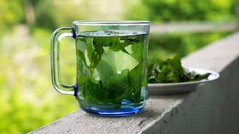 Mint fresh tea Stock Photos