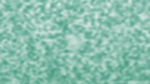 Mint green digital noise texture. 2d animation Видео 345043001