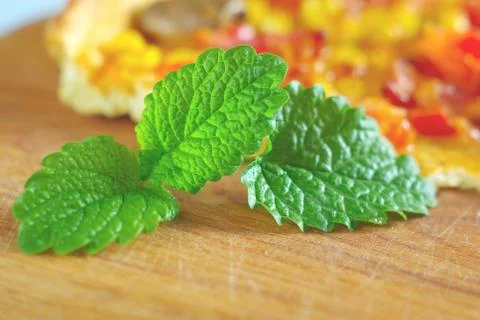 Mint green leaf spice ingredient Stock Photos