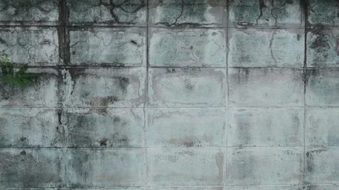 Mint Green Tiled Wall with Dark Mold Streaks and Vine Stock Footage 342302828