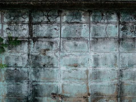 Mint Green Tiled Wall with Dark Mold Streaks and Vine Leaves Stock Photos